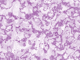 xm007052.gif