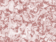 xm007048.gif