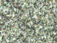 xm007046.gif