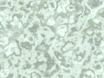 xm007042.gif