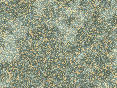 xm007039.gif