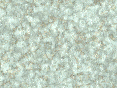 xm007033.gif