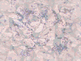 xm007030.gif