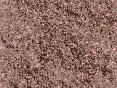 xm007029.gif