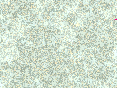 xm007026.gif