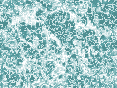 xm007020.gif