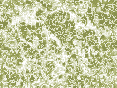 xm007018.gif