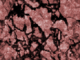 xm007009.gif