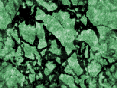 xm007008.gif