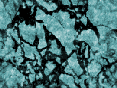 xm007007.gif