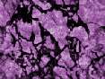 xm007005.gif