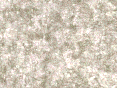 xm007002.gif