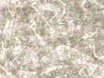 xm007000.gif