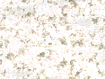 xm006997.gif