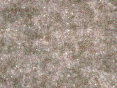 xm006996.gif