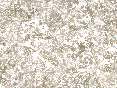 xm006995.gif