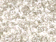 xm006992.gif