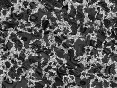 xm006989.gif