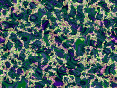 xm006988.gif