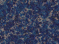 xm006977.gif