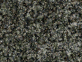 xm006976.gif