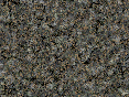 xm006975.gif