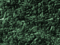 xm006974.gif