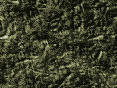 xm006973.gif