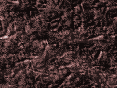 xm006972.gif