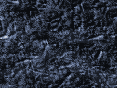 xm006971.gif