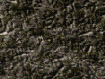 xm006970.gif