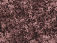 xm006965.gif