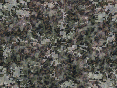 xm006963.gif