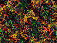 xm006961.gif