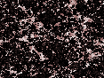 xm006958.gif