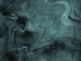 xm006956.gif