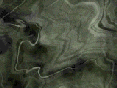 xm006952.gif