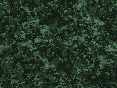 xm006950.gif