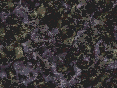 xm006947.gif