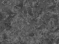 xm006944.gif