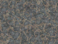 xm006938.gif