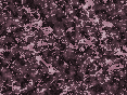 xm006933.gif