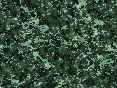 xm006929.gif
