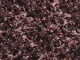 xm006928.gif