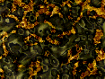 xm006926.gif