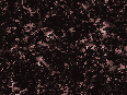 xm006921.gif