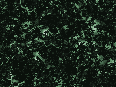 xm006920.gif