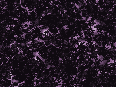 xm006919.gif