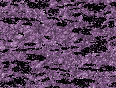 xm006914.gif