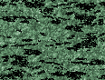 xm006913.gif